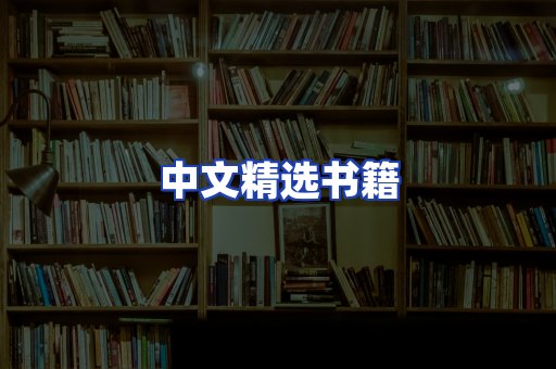 中文精选书籍